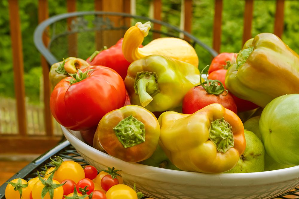 Sammamish-Washington State-USA Bowl of fresh produce